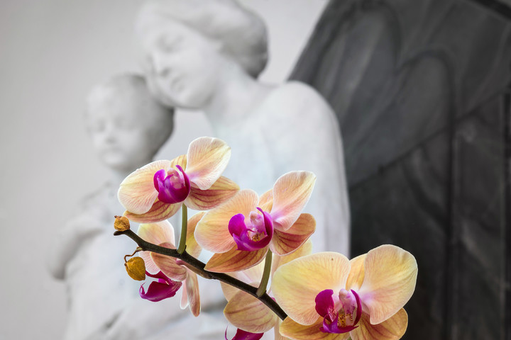 Foto: Pixabay / Pfarrbriefservice